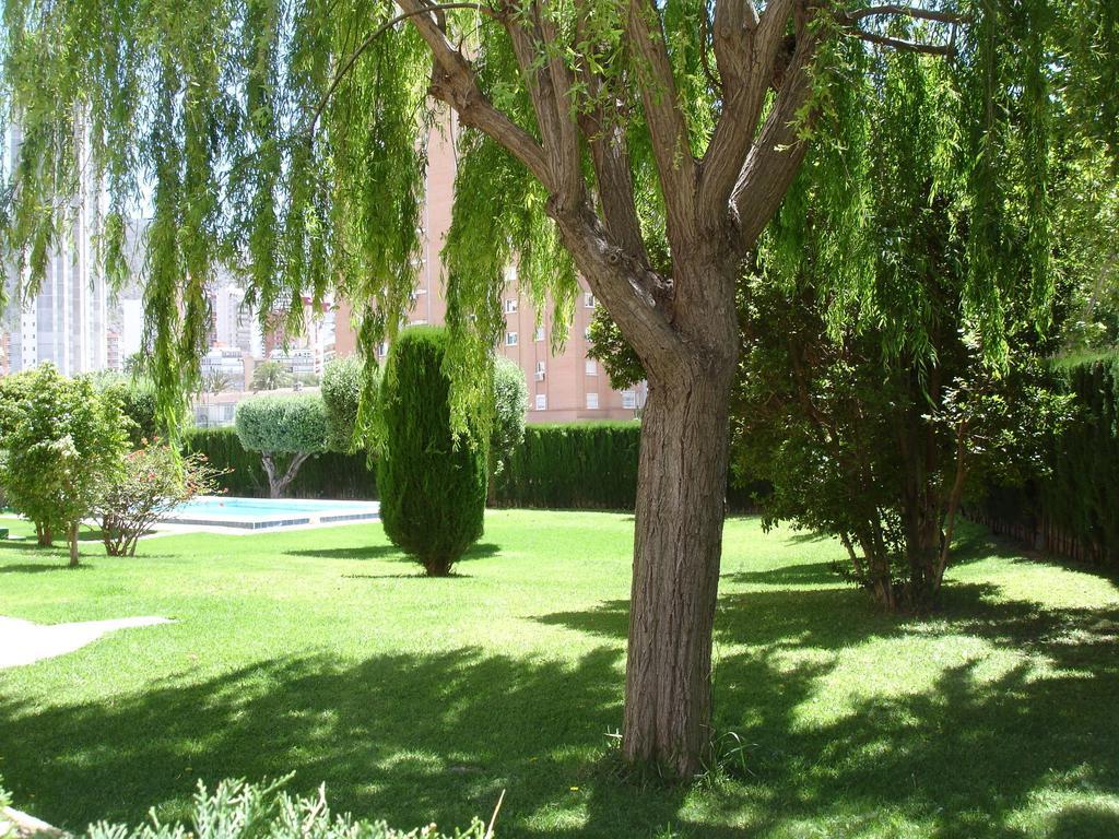 Los Olivos - Zand Properties Benidorm Camera foto